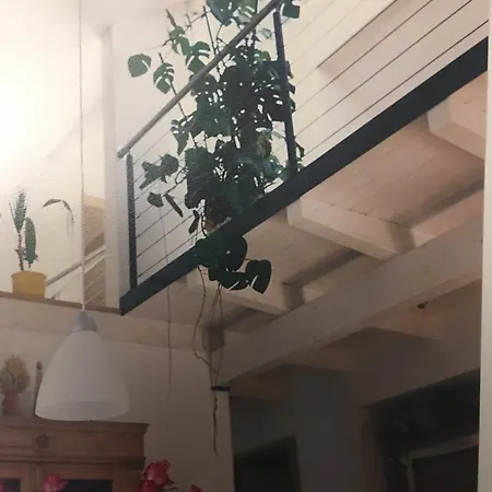 Gaestehaus/fewos/boardinghaus Sued Estalagem 4*