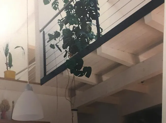 Gaestehaus/fewos/boardinghaus Sued Fogadó 4*